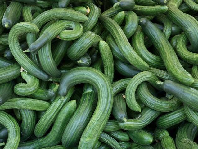 Juicing Cucumbers