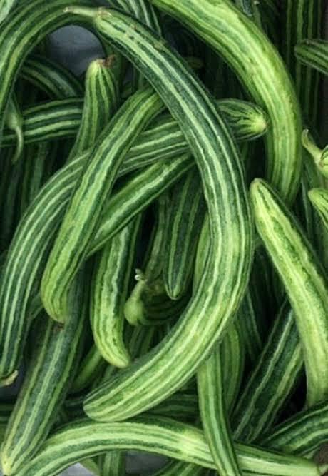Striped Armenian Cucumber
