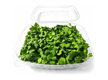 Daikon Radish Microgreens (110 g)