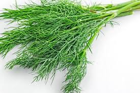 Dill
