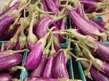 Fairy Tale Eggplant