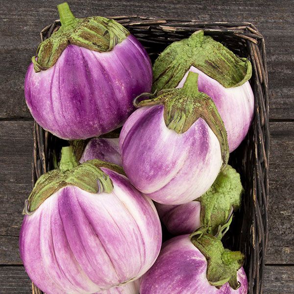 Rosa Bianca Eggplant