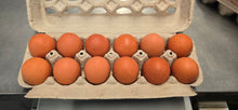 Extra Large Brown Regular Dozen