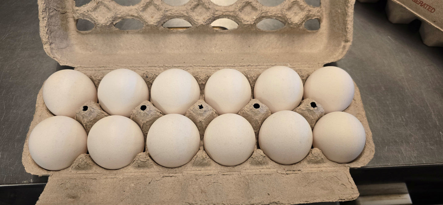 Extra Large White Regular Dozen