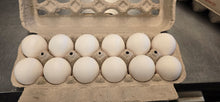 Extra Large White Regular Dozen