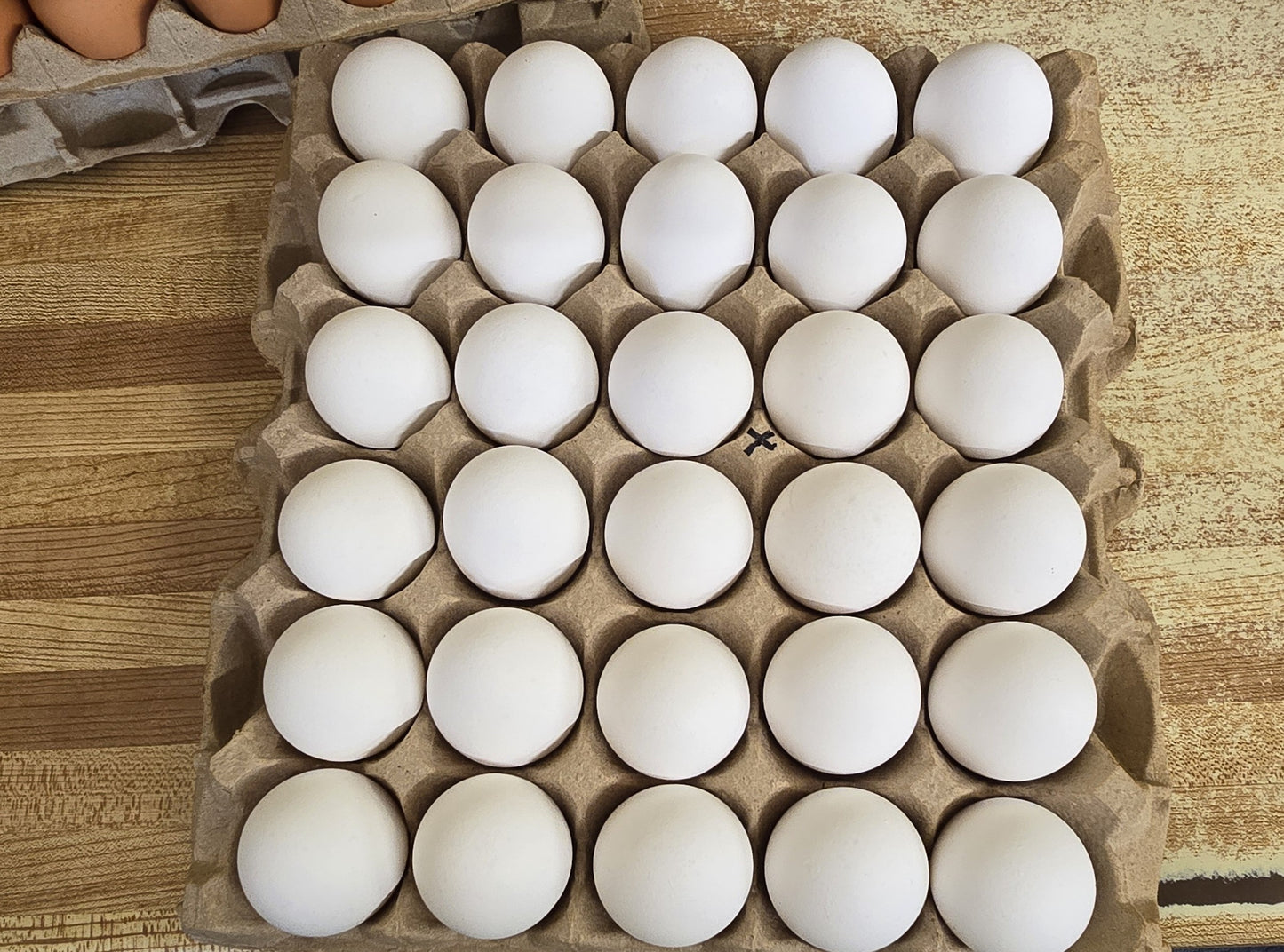 Extra Large White Tray