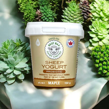 Maple Sheep Yogurt 150g