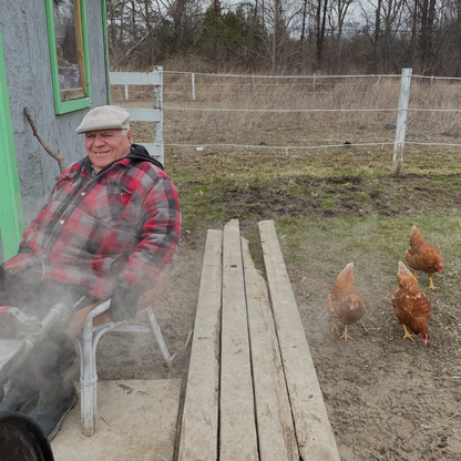 Free Range Extra Large Eggs