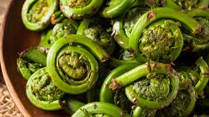 Fiddle Heads