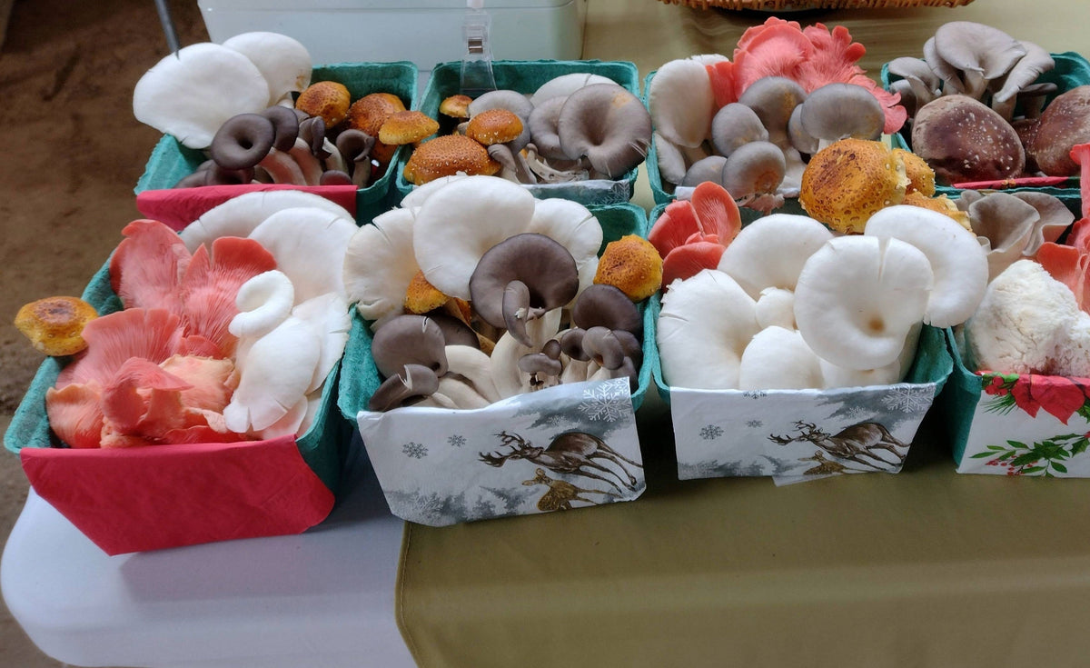 Mixed Gourmet Mushrooms (200g)