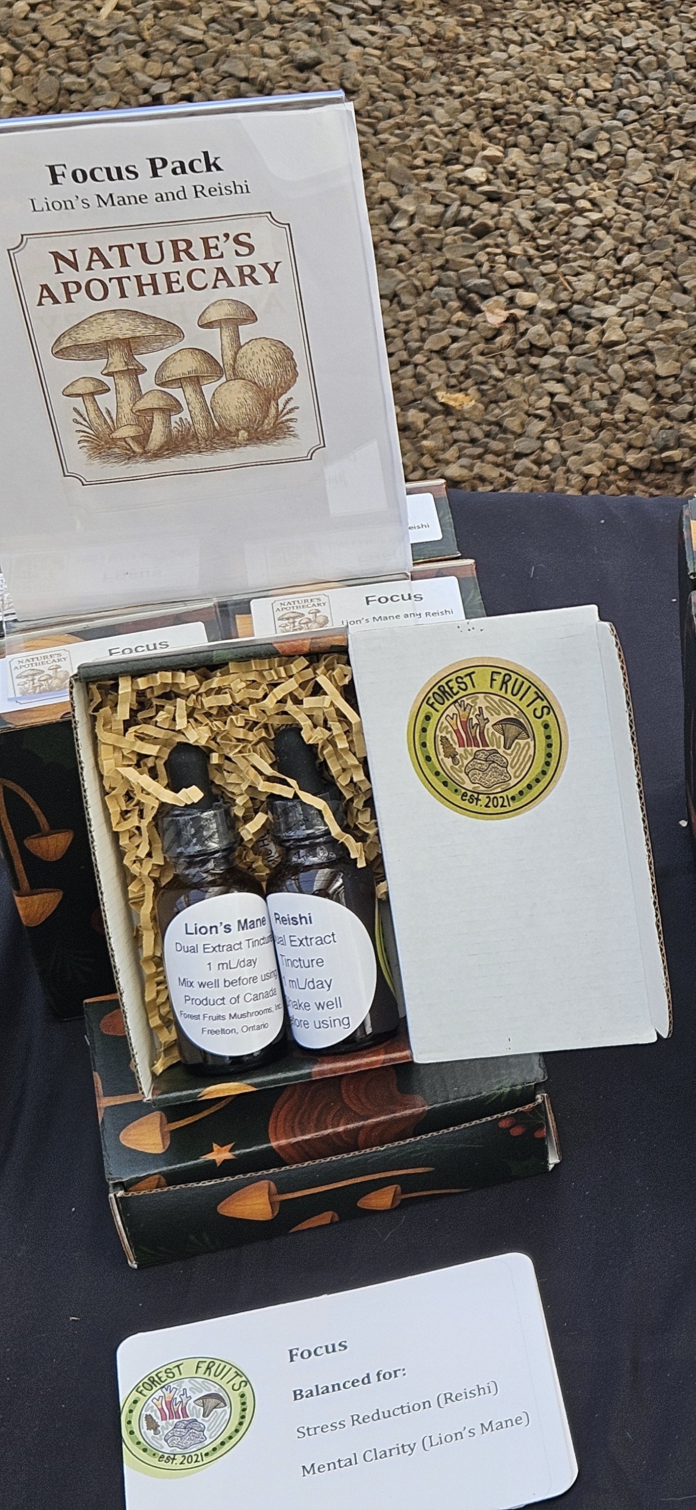 Lion's Mane and Reishi Dual Extract Tinctures.