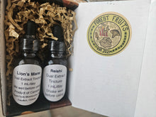 Lion's Mane and Reishi Dual Extract Tinctures.