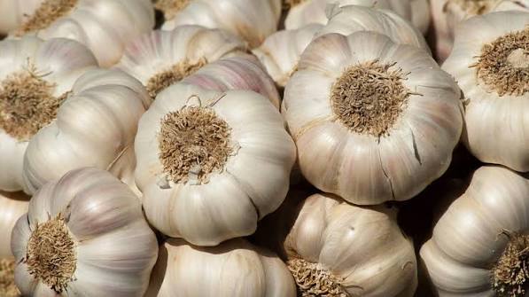 Cured Garlic