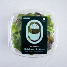 Heirloom Lettuce