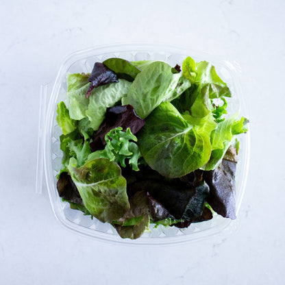 Heirloom Lettuce