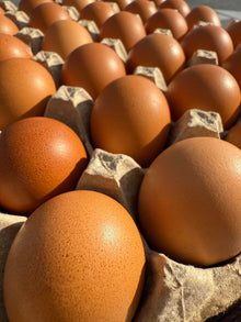 Large Free Range Eggs