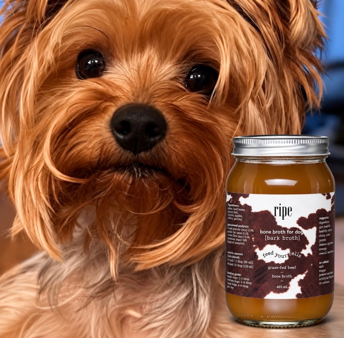 bark bone broth for pets