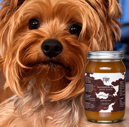 bark bone broth for pets