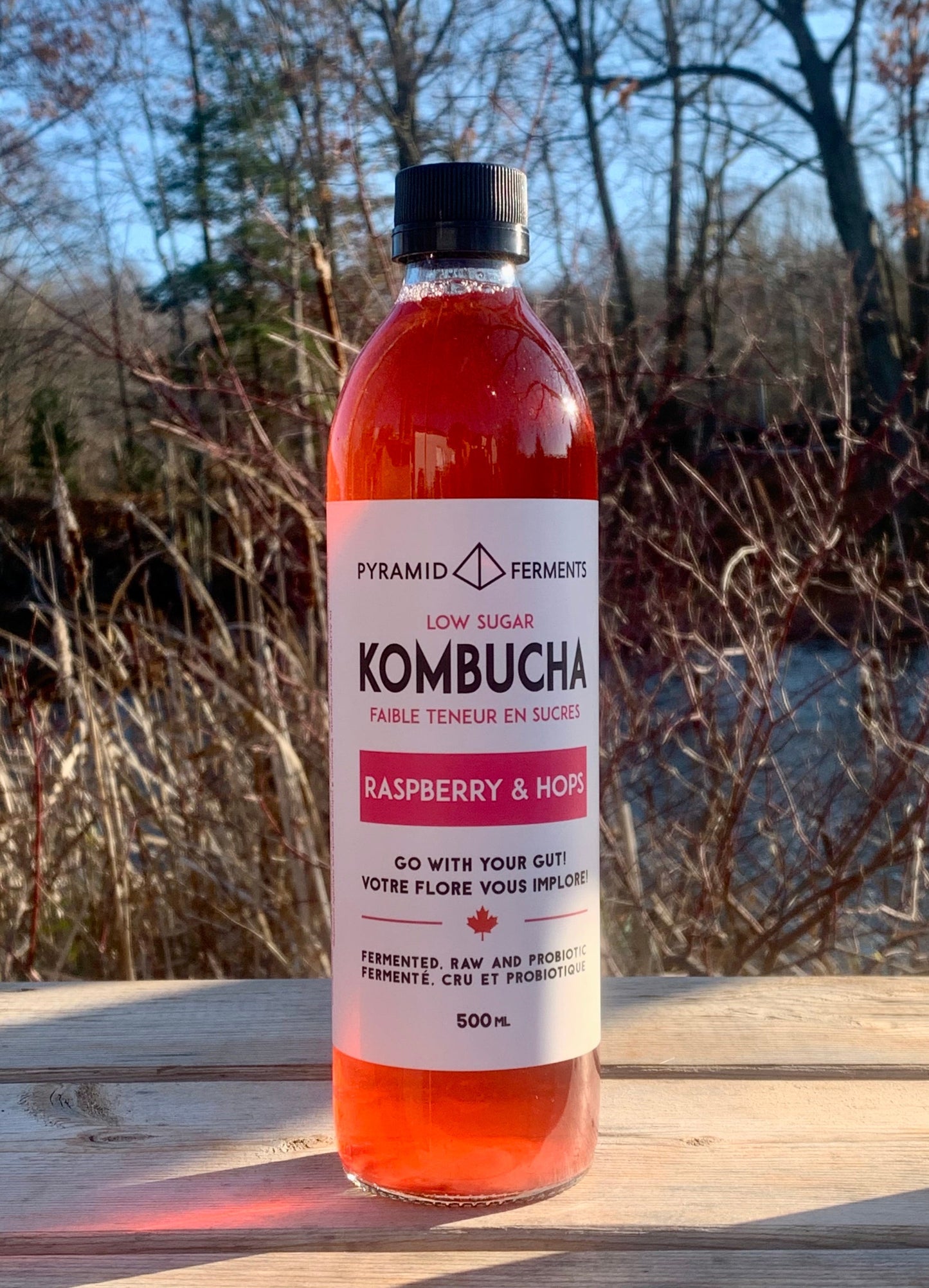 Kombucha - RASPBERRY & HOPS - 500ml Bottle