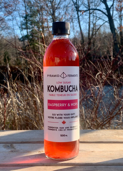 Kombucha - RASPBERRY & HOPS - 500ml Bottle