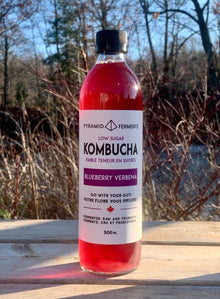 Kombucha - BLUEBERRY VERBENA - 500ml Bottle