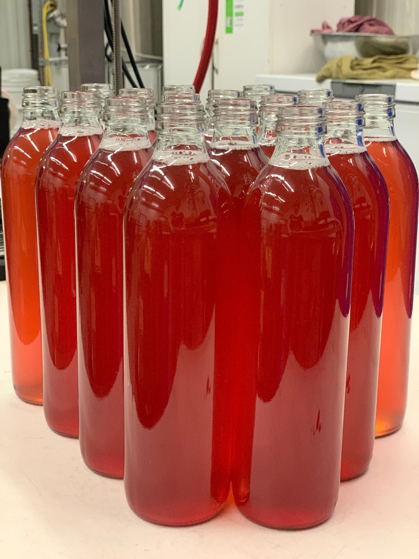 Kombucha - RASPBERRY & HOPS - 500ml Bottle