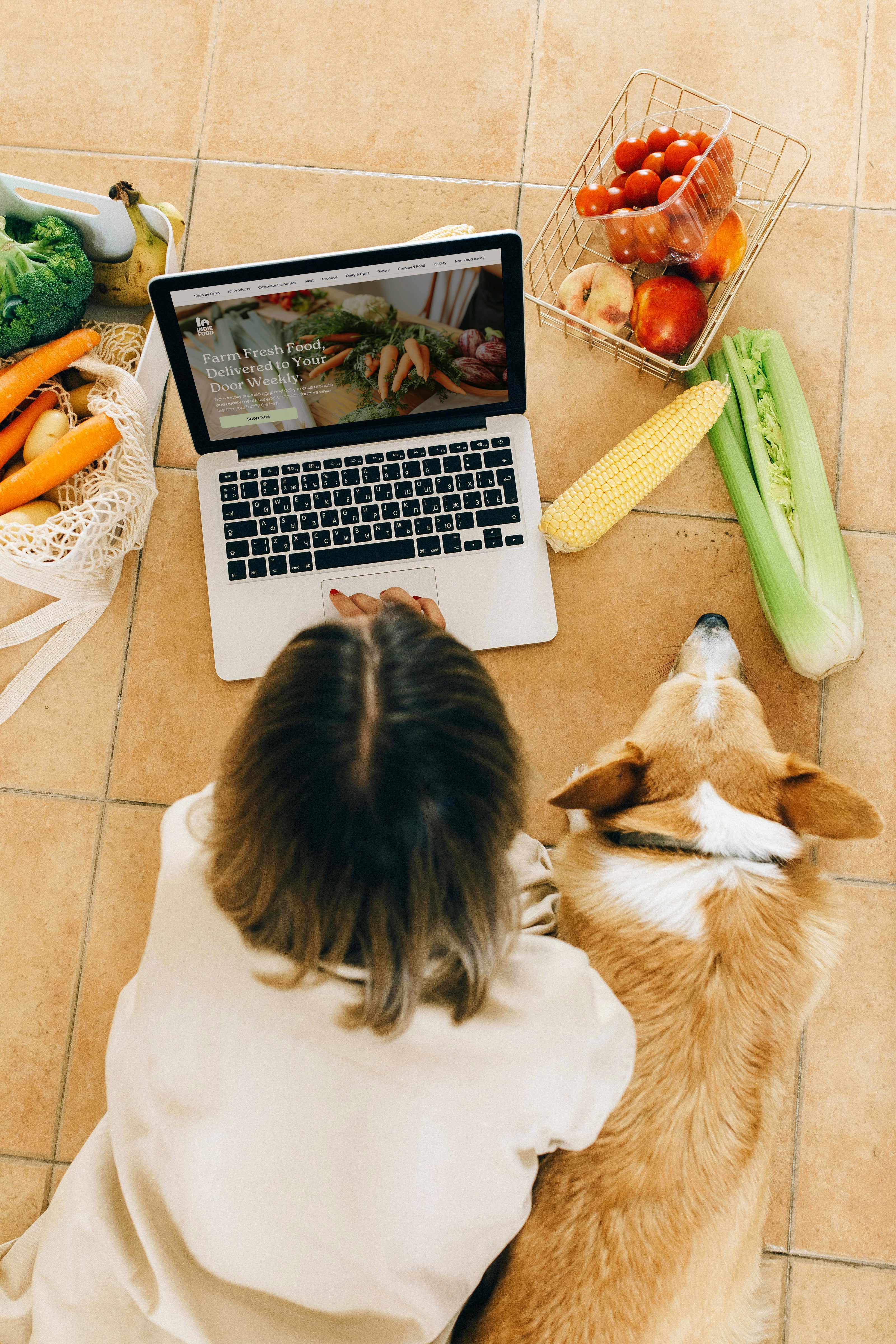 Person using a laptop on the floor with a dog next to them, surrounded by groceries.