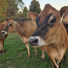 Unhomogenized Milk