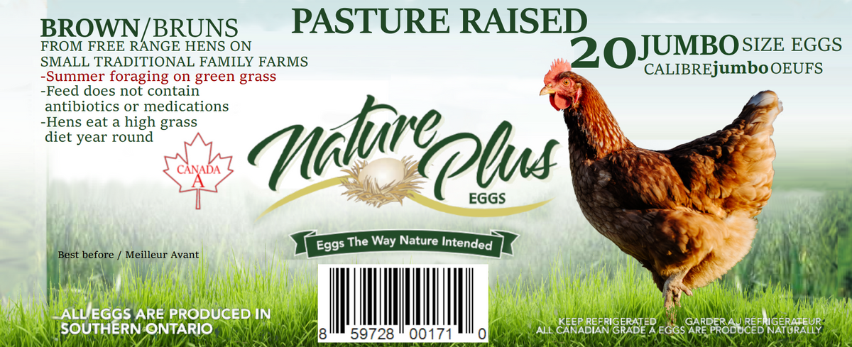 Jumbo Pasture Raised Eggs - Flat