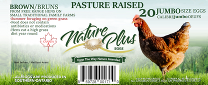 Jumbo Pasture Raised Eggs - Flat