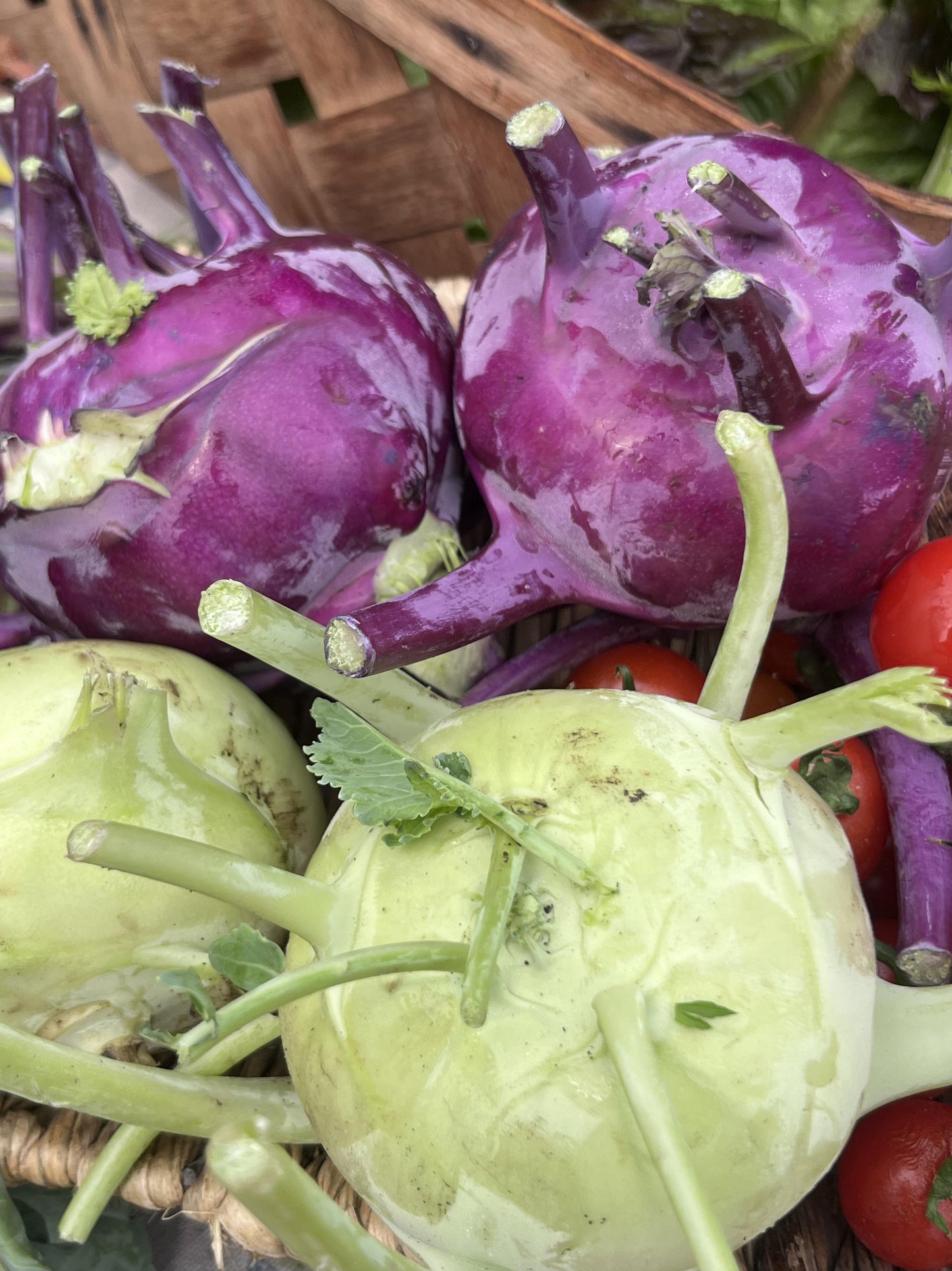 Kohlrabi