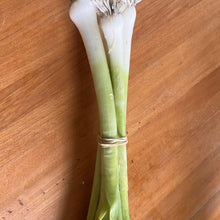 Baby Leeks