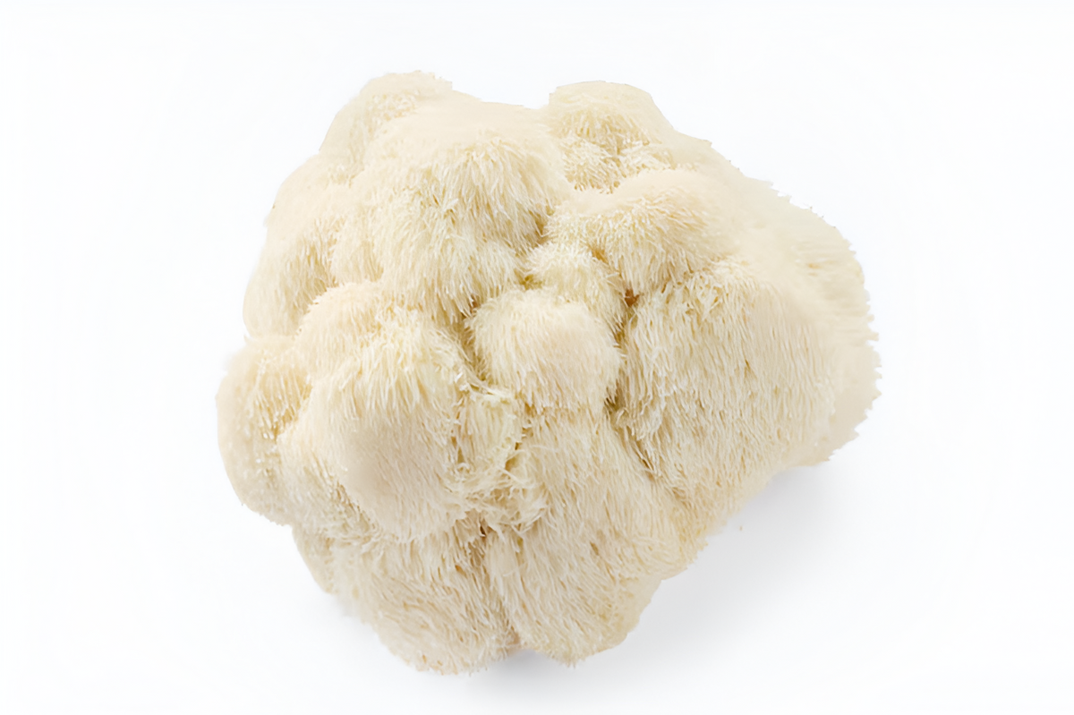 Lion's Mane Mushrooms
