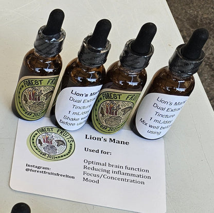 Lion's Mane Mushroom Tincture