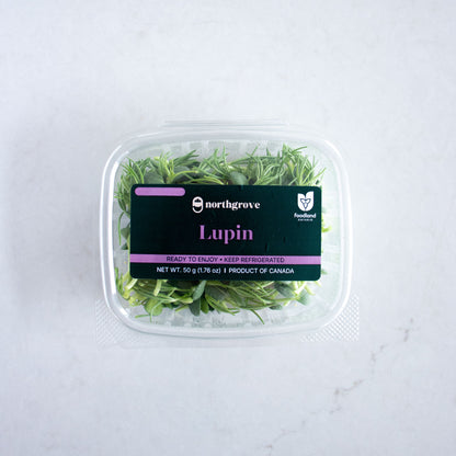 Lupin Shoots