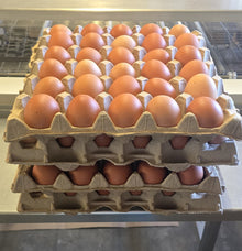 Medium Brown Tray