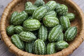 Mouse Melons