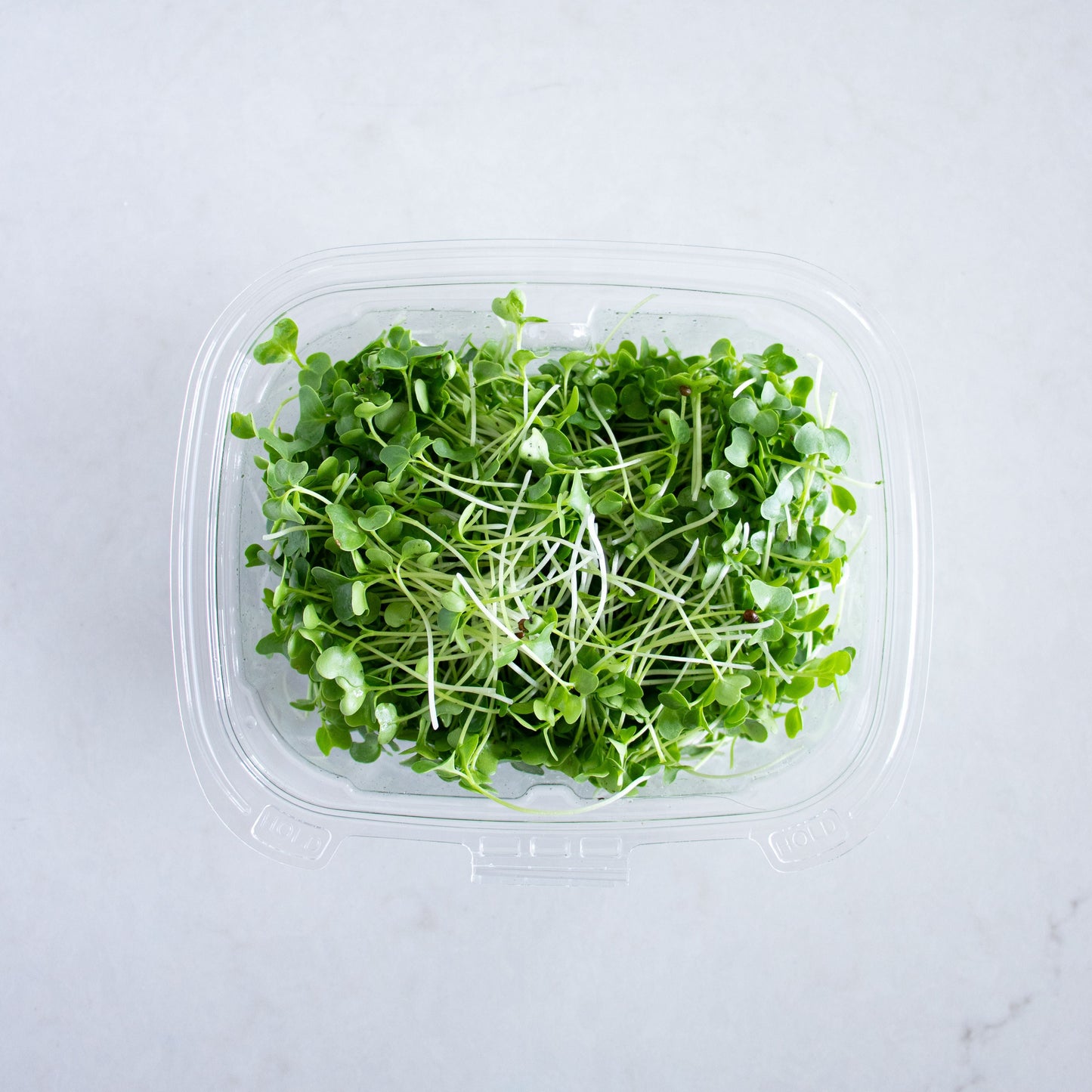Micro Broccoli