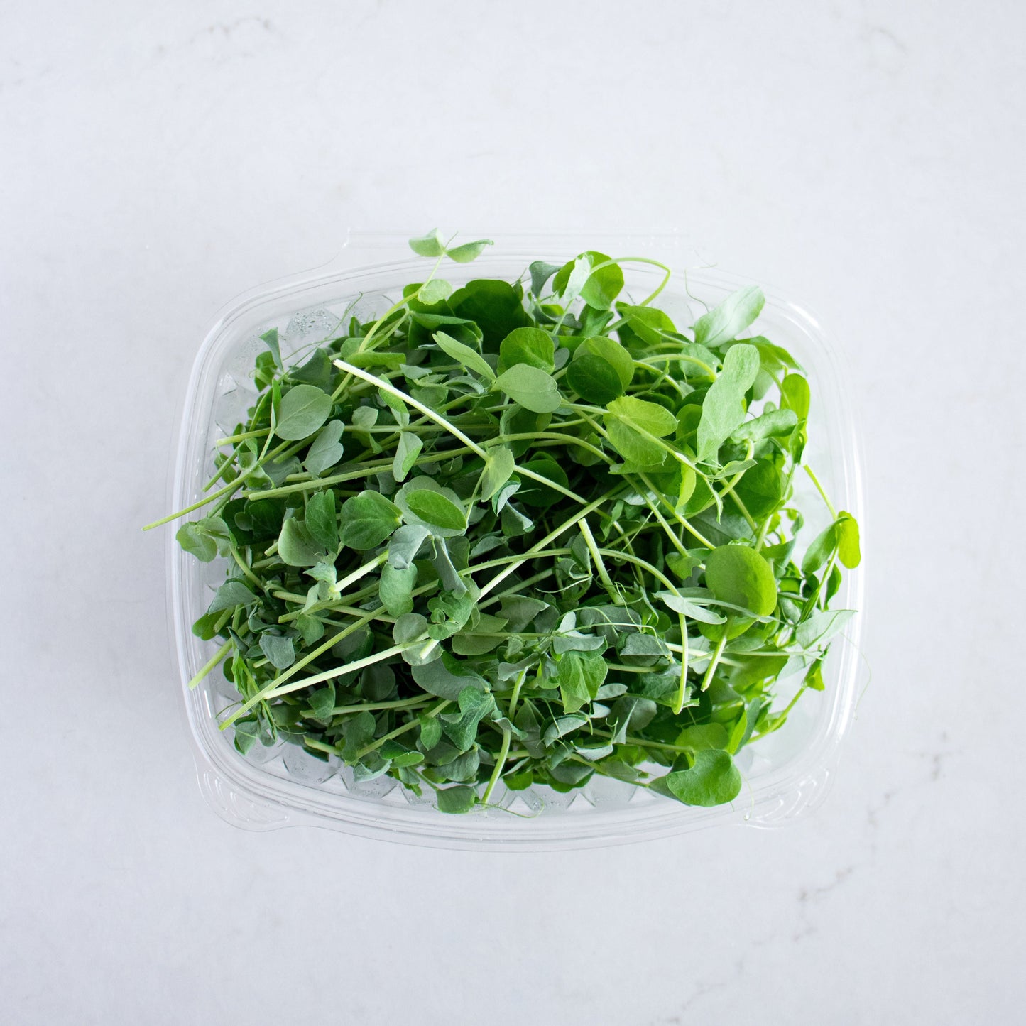 Pea Shoots