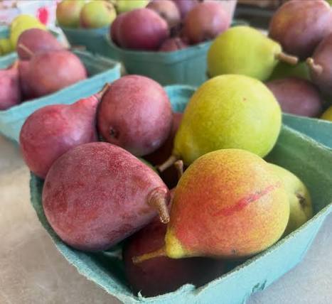 Harrow Crisp Pears