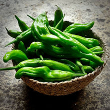 Shishito Peppers