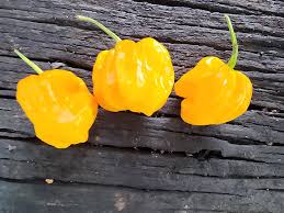 Frontera Peppers