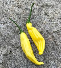 Aji Lemon Drop Peppers