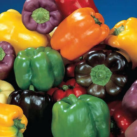 Mixed Bell Peppers