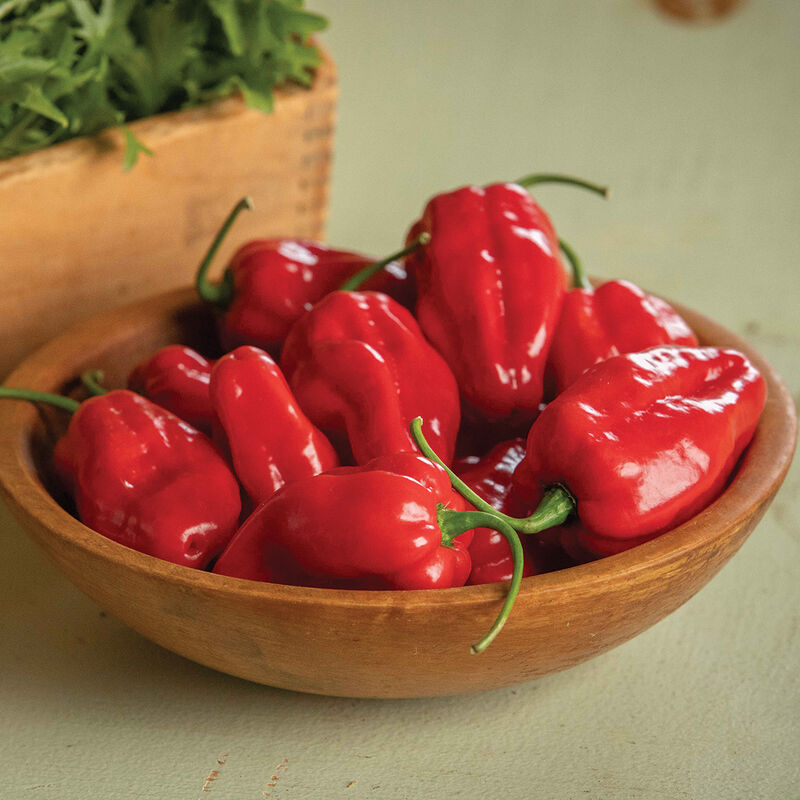 Roulette Peppers