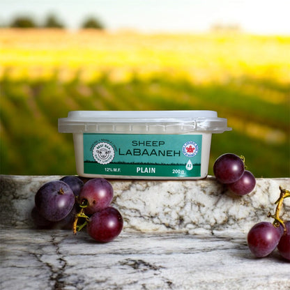 Plain Labneh Sheep Cheese