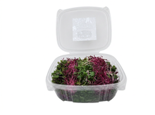 Rainbow Mix Microgreens (110 g)