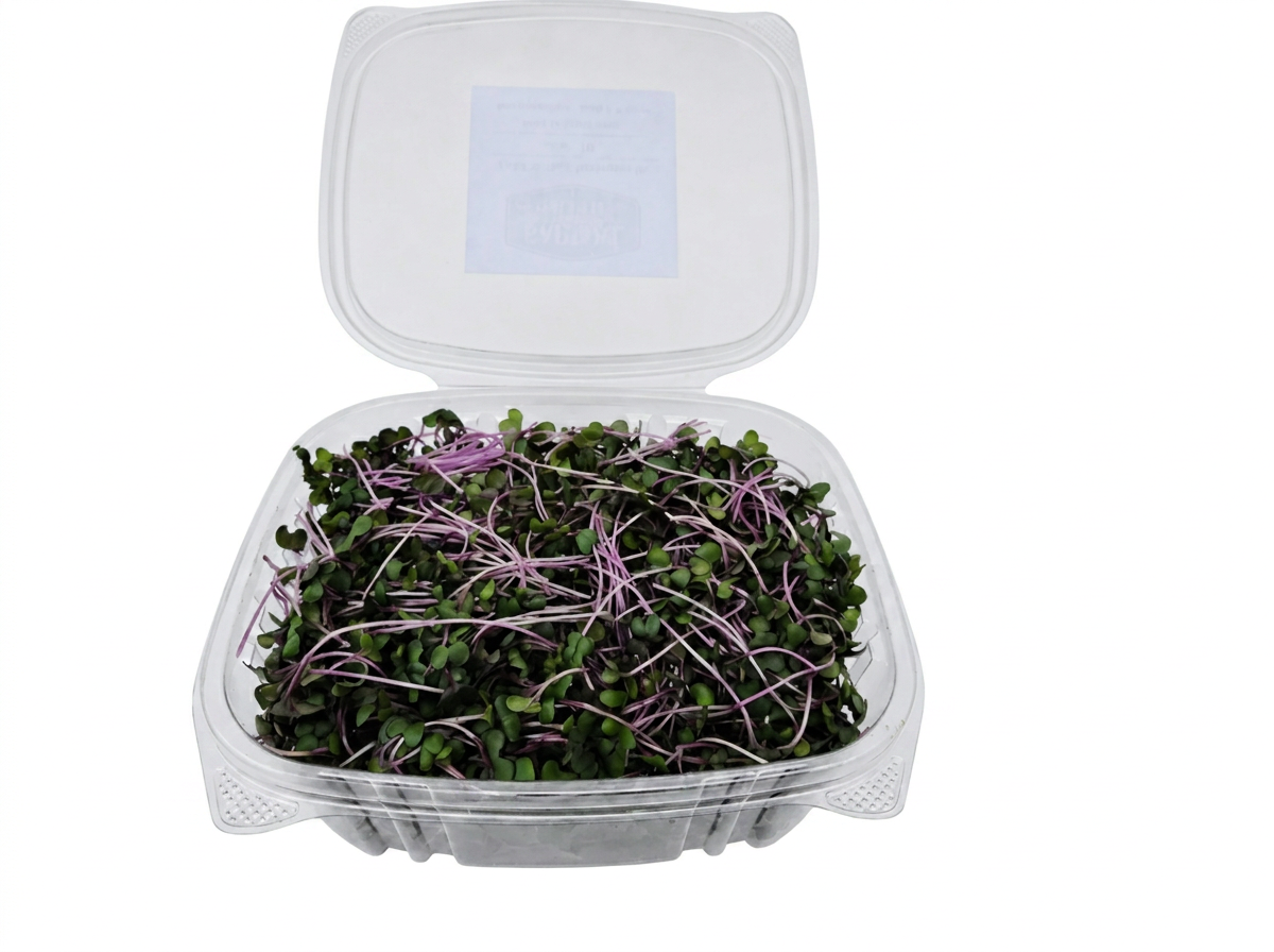 Red Cabbage Microgreens (110 g)