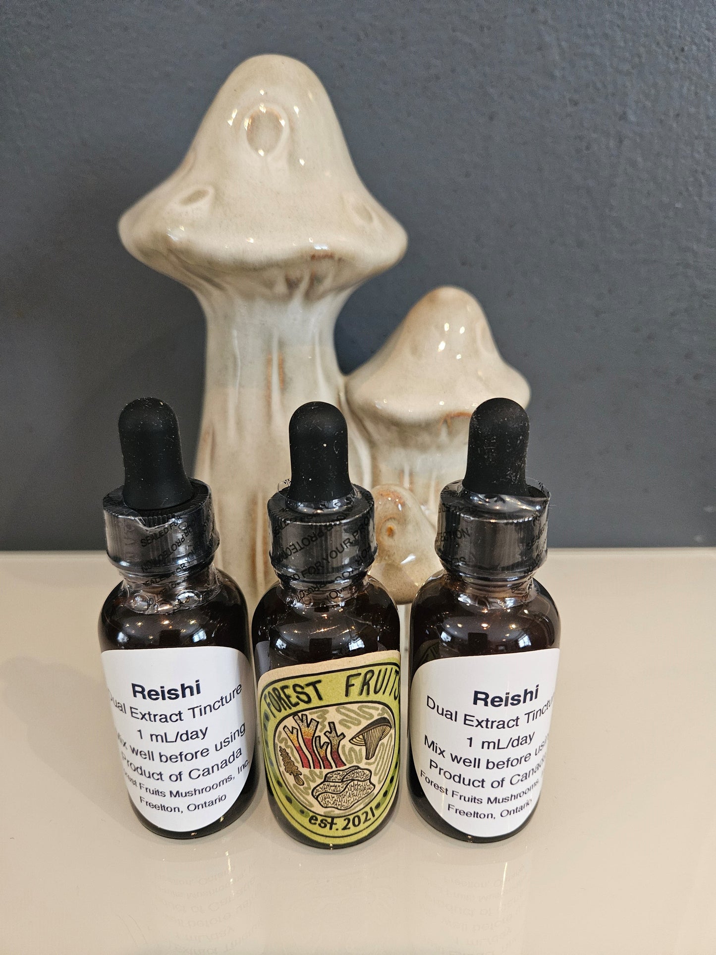 Reishi Mushroom Tincture
