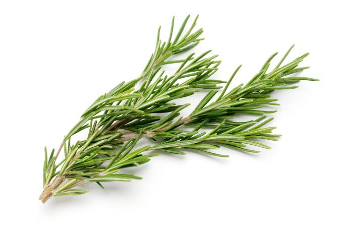 Rosemary